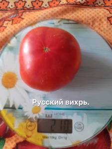 20250831_154922.jpg