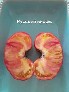 20250831_155227.jpg
