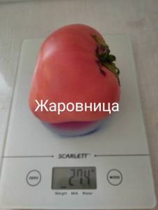 IMG_20250802_123303~2.jpg