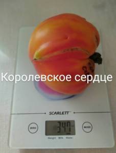 IMG_20250804_090350~2.jpg