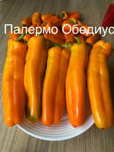 22B4B562-D404-4A0F-916B-D0ED93971874.jpeg