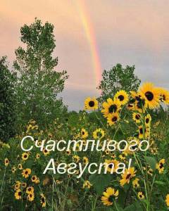 2cb9703ddbffa792359fca73ee908cd3.jpg