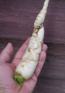 3.thumb.JPG.5dda1b33f476b5e835e672b62b1e9a7c.JPG