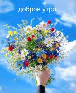 3d05bbde18966885c988e88c5832252c.thumb.jpg.9c1a289a7bc4a39253c2ccdca1accc76.jpg