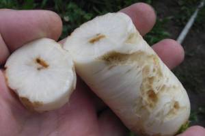 4.thumb.JPG.5d0c2cea2b622772051fe20ff0c6d797.JPG