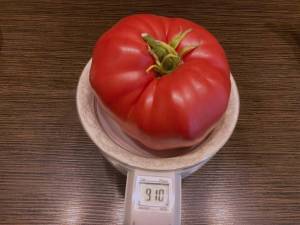 474376571_2.thumb.jpeg.ff1fee90ca8fc61b3ce848f6ac8bb9b0.jpeg