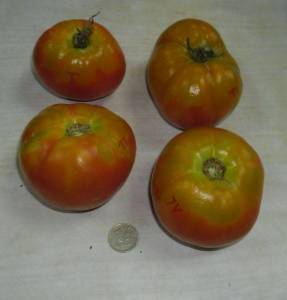 5.thumb.JPG.d66496f69e8479e022fb1ea4e8f48ae9.JPG