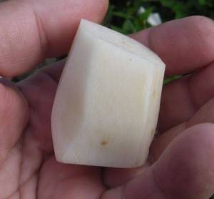 5.thumb.JPG.e42bcebe7fea7bb86a840a4b6873c9e8.JPG