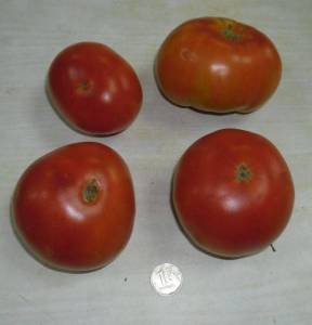 6.thumb.JPG.46ffead3f273c157db55c9035e36ba43.JPG
