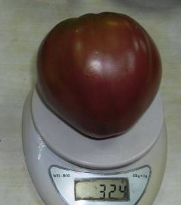 6.thumb.JPG.ce7851926801cc7c6d7b13f027ec435b.JPG