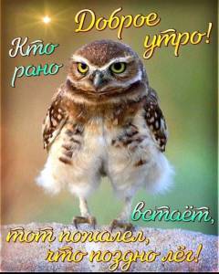 63f957eda30e55bb1233a83d8c74d4ac.thumb.jpg.d5aa345f4a9fe90128f87aca4770a558.jpg