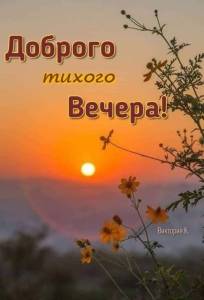 6d985309cd56c22fb49b35488afbe35f.thumb.jpg.9acaf3ba52f931578a6ab944e1a1fe16.jpg