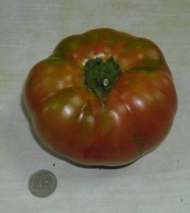 7.thumb.JPG.7e85e503e0162aa7f153511ac3f3d195.JPG