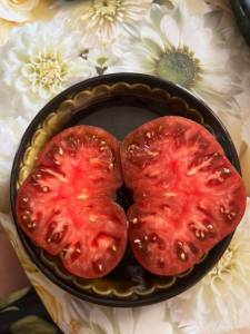 7491B11C-3C6A-4260-A0D5-CF256D7242BA.thumb.jpeg.62c92289c99e5d0685288e2cec31a3ee.jpeg
