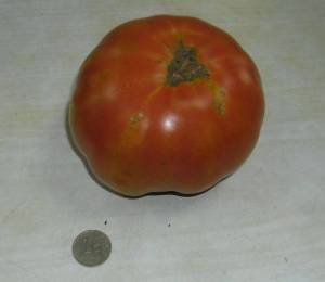 8.thumb.JPG.b2b4aa21a285838c206e085ceeb866a6.JPG