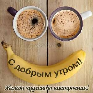 840f0738121a51bfb4a23421511831e9.jpg