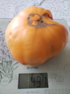 895850120_().thumb.jpg.8f68cf75d5fc3eb5f0ad3a56a7993394.jpg