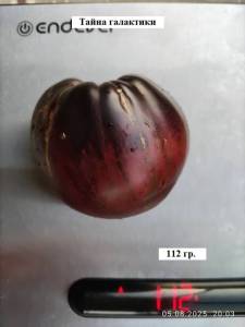 909092758_5_08.2025_.thumb.jpg.9cbf6ff1eed53f4cbcdcf102e859d495.jpg