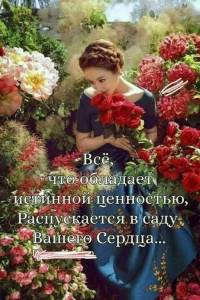 9472267b7ad82b487bb471a6ae33ac82.thumb.jpg.b4da7e094bd6d529f6223de9458497cb.jpg