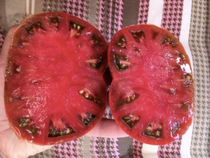 960160812_2025-08-1810_47_20.thumb.png.3d1ecce18dca537fa6d38bc597e5c6ad.png