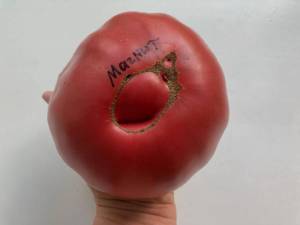 970226052_2.thumb.jpeg.e8fbd80479e82e225331ccf42763b7c5.jpeg