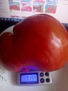 9UhiaUfi0MqISTJutkPgo5zMASYpGFGXy8NehGD4fzPX_l5u0mpL4o5lhqTg6U5IztX6ZyNwzzCqvWIz8s-hT4_E.jpg