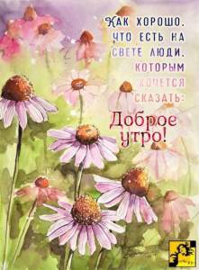 9e89818d27667a5acfa7e91918a9cc35.thumb.jpg.0316cf3c16ba608749d32908d4da399f.jpg