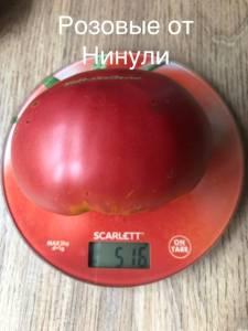 A5C3167C-844E-4A08-8248-C2E0BBC697F1.jpeg