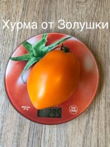 A61D71B0-24A7-459D-927D-20757F269ED2.jpeg