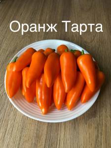 CBFD7320-2C73-4325-B077-362B7644A363.jpeg