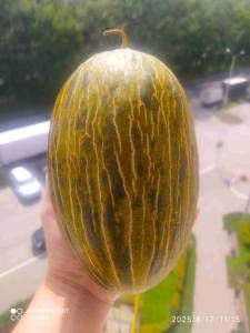 C_IMG_20250817_120722.thumb.jpg.cdac8d8e8eda0d0f0eb98a282ce8f47b.jpg