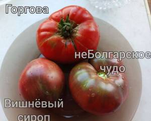 Compress_20250813_114313_3757.thumb.jpg.7edb355cbd6d48e19cdfeafff8c5f446.jpg