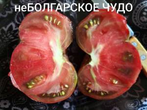 Compress_20250813_114314_4194.thumb.jpg.ad834a52d0db0b14edd369f789344e4b.jpg