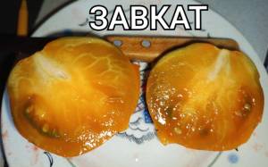 Compress_20250813_114318_8326.thumb.jpg.21c3618728be318c5e683a0c97634587.jpg