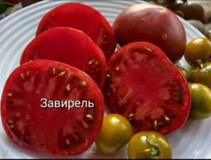 Compress_20250817_153948_8355.thumb.jpg.3d0fd1f1c1c73e482ea2d20cd2e45ada.jpg