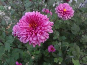 DSC03578.JPG