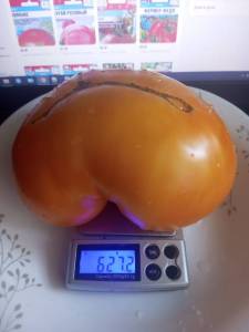 FZYvXe9Bj9pnCs3r4D7Bj0AhPC7jSirPMcmyBGFUptQWoGKsze5DPnR6mLX21jRO-3YqCEEWvfwk0hbvgE2x5jSx.jpg