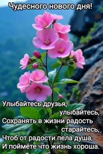 IMG-20250608-WA0003.jpg