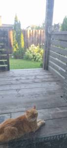 IMG-20250727-WA0002.jpg