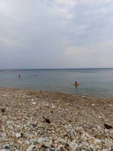 IMG-20250802-WA0007.jpeg