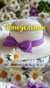 IMG-20250804-WA0008.jpg