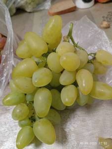 IMG-20250806-WA0003.jpg