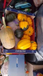 IMG-20250806-WA0006.jpeg