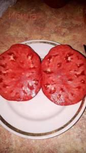 IMG-20250808-WA0023.jpg