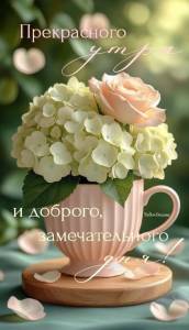 IMG-20250811-WA0004.jpg