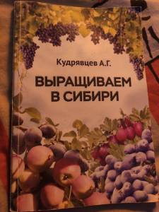 IMG-20250812-WA0024.jpg