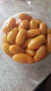 IMG-20250815-WA0026.jpeg