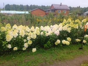IMG-20250819-WA0000.jpg