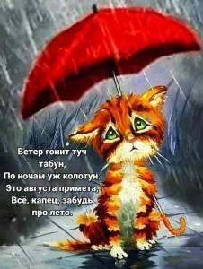 IMG-20250820-WA0002.jpg