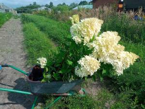 IMG-20250820-WA0014.jpg
